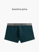 Gładkie bokserki męskie z grubą gumą | Zielone | Atlantic | MH-1196