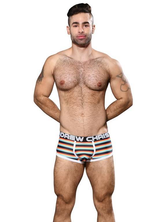 BOKSERKI MĘSKIE ANDREW CHRISTIAN - CALIFORNIA STRIPE BOXER 92680